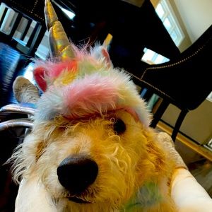 Meet your Posher, Reed